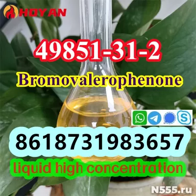 CAS 49851-31-2 OIL Bromovalerophenone Russia фото 1